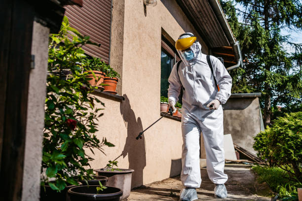 Best Bird Control  in Centerville, CA