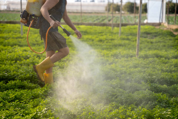 Best Best Pest Control Near Me  in Centerville, CA