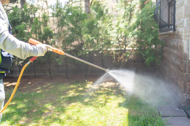 Best Affordable Pest Control Services  in Centerville, CA