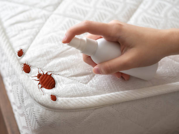 Best Cockroach Control Services  in Centerville, CA
