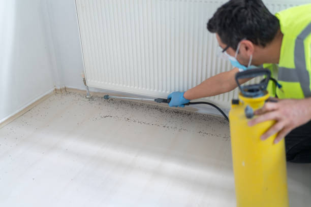 Pest Control Cost in Centerville, CA
